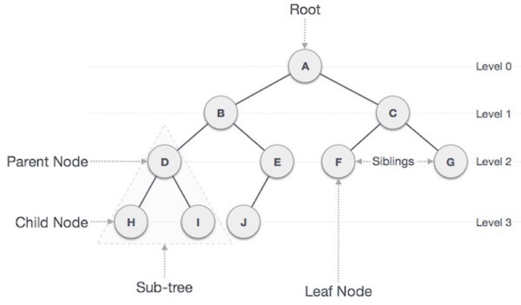Binary Tree WEBP